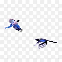 喜鹊-空若网 喜鹊-空若网