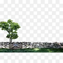 树-空若网 树-空若网