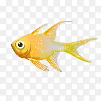 卡通手绘五彩鱼-空若网 卡通手绘五彩鱼-空若网