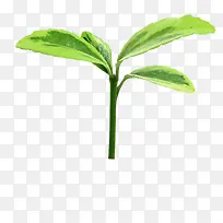 ��ѿ-������