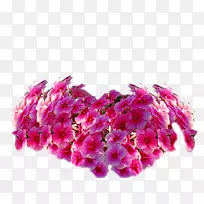 花博客花瓣-更完美-空若网 花博客花瓣-更完美-空若网