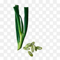 蔬菜洋葱-空若网 蔬菜洋葱-空若网