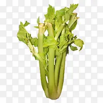 蔬菜西芹-空若网 蔬菜西芹-空若网