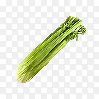 一捆芹菜-空若网 一捆芹菜-空若网