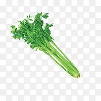 ´óÎ÷ÇÛ²Ë-¿ÕÈôÍø ´óÎ÷ÇÛ²Ë-¿ÕÈôÍø