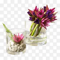 养花透明玻璃杯子-空若网 养花透明玻璃杯子-空若网