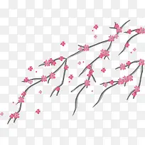 ��ɫӣ����֦-������