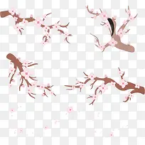 樱桃树枝-空若网 樱桃树枝-空若网