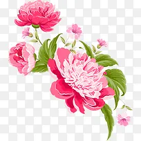 红色手绘鲜花-空若网 红色手绘鲜花-空若网