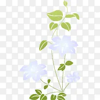 ���ݻ���-������