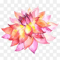 ˮ�������߲�����ֲ��-������