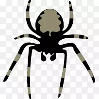蜘蛛下载剪贴画-蜘蛛-空若网 蜘蛛下载剪贴画-蜘蛛-空若网
