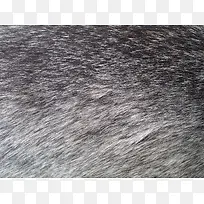 »Ò°×ɫƤë±³¾°-¿ÕÈôÍø »Ò°×ɫƤë±³¾°-¿ÕÈôÍø