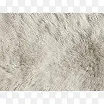 °×É«Æ¤Ã«ÎÆÀí±³¾°-¿ÕÈôÍø °×É«Æ¤Ã«ÎÆÀí±³¾°-¿ÕÈôÍø