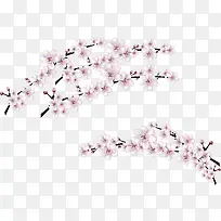 矢量手绘桃花树枝-空若网 矢量手绘桃花树枝-空若网