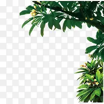 ïʢ��֦-������