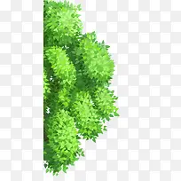 ��Ҷ�ֻ���֦װ��ͼ��-������