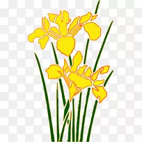 剪贴画-水仙花-空若网 剪贴画-水仙花-空若网