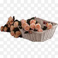 创意摄影粉红色的花篮玫瑰花-空若网 创意摄影粉红色的花篮玫瑰花-空若网