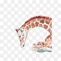 水彩长颈鹿-空若网 水彩长颈鹿-空若网
