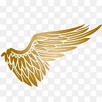金色翅膀-空若网 金色翅膀-空若网