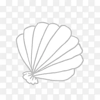 矢量卡通简洁扁平化贝壳-空若网 矢量卡通简洁扁平化贝壳-空若网