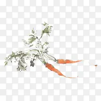 2个胡萝卜-空若网 2个胡萝卜-空若网