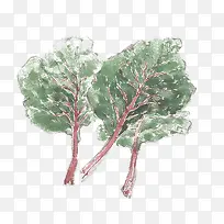 萝卜菜叶-空若网 萝卜菜叶-空若网