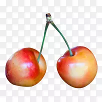 兰尼尔山樱桃-兰尼尔樱桃-空若网 兰尼尔山樱桃-兰尼尔樱桃-空若网