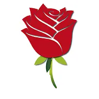 ��ɫ��õ�廨-������