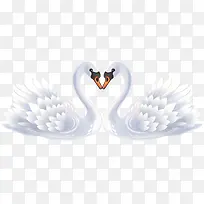 ��ɫ���-������