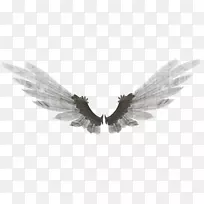 翅膀堕落艺术羽毛数码艺术-天使之翼-空若网 翅膀堕落艺术羽毛数码艺术-天使之翼-空若网