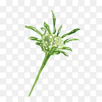 ÊÖ»æÐ¡²Ý-¿ÕÈôÍø ÊÖ»æÐ¡²Ý-¿ÕÈôÍø