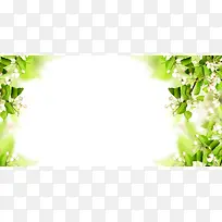 ��֦����ʵ��չ�屳������-������