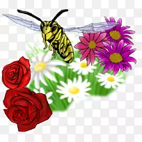 昆虫蝴蝶花蜂传粉器-黄蜂-空若网 昆虫蝴蝶花蜂传粉器-黄蜂-空若网