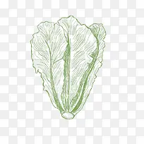手绘青菜设计素材-空若网 手绘青菜设计素材-空若网