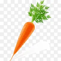 胡萝卜矢量图-空若网 胡萝卜矢量图-空若网