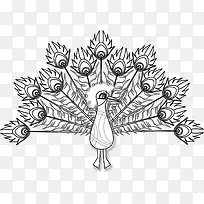 手绘孔雀-空若网 手绘孔雀-空若网