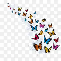 ��ɫ����-������