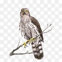 ʸÁ¿ÀÏÓ¥-¿ÕÈôÍø ʸÁ¿ÀÏÓ¥-¿ÕÈôÍø