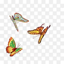 昆虫花蝴蝶设计图-空若网 昆虫花蝴蝶设计图-空若网