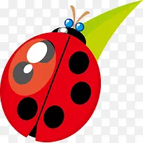 瓢虫卡通图-空若网 瓢虫卡通图-空若网