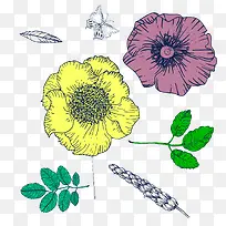 ʸ���廭����-������