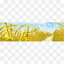 秋季主题背景-空若网 秋季主题背景-空若网