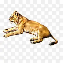 �ֻ��ϻ���������-������