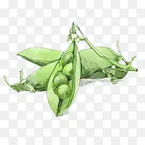 �ֻ��㶹-������