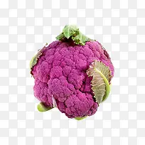 ��ɫ����-������