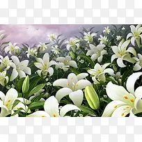 鲜花背景素材-空若网 鲜花背景素材-空若网