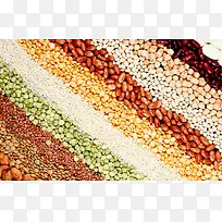 ��ɫ�����ϱ���-������