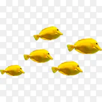 ������Ӱ��������ƽ���-������